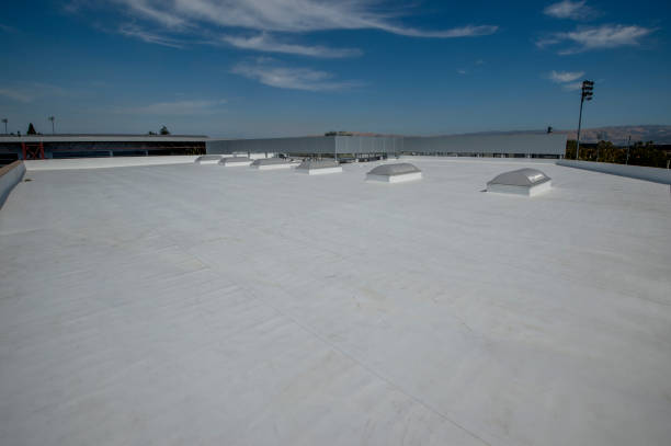 Best Asphalt Shingles Roofing  in Urbana, IL