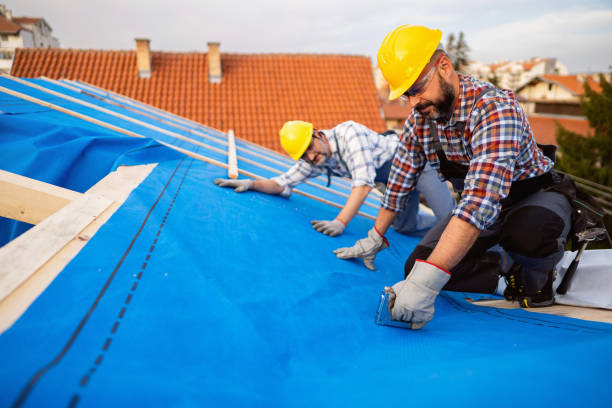 Best Rubber Roofing (EPDM, TPO)  in Urbana, IL