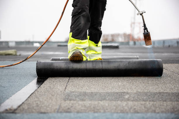 Best Asphalt Shingle Roofing  in Urbana, IL